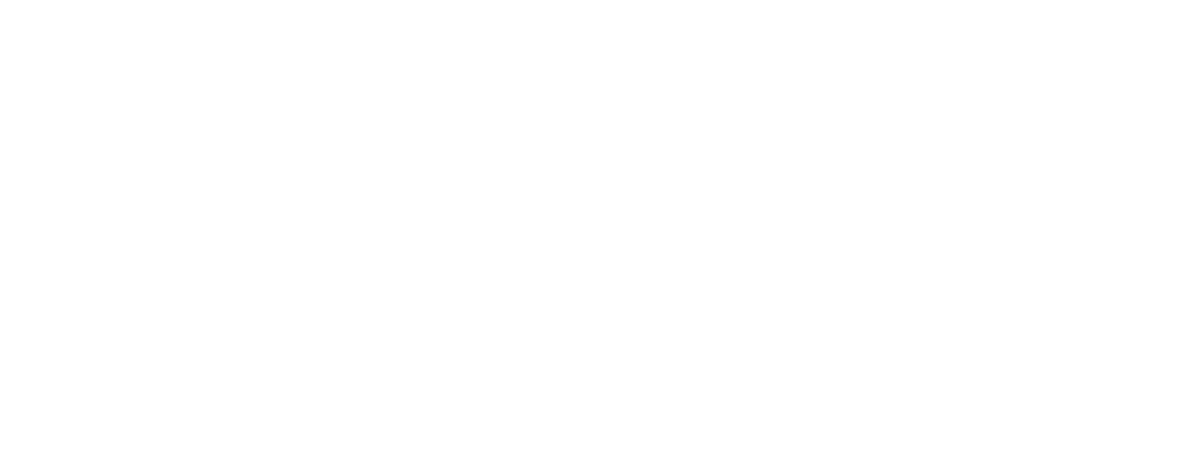 B M LogiTrans